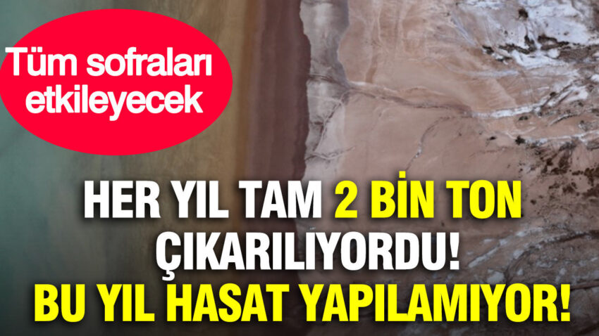 Her yil tam 2 bin ton cikariliyordu bu yil hasat yapilamiyor tum sofralari etkileyecek yNlQUydq